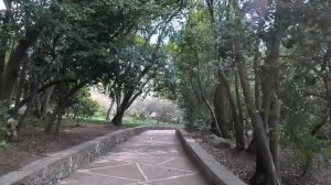 Крым 2023 - ПАРАД ТЮЛЬПАНОВ. Стоит ли посещать? ОБАЛДЕЛ от этого места. Показываю ВСЮ ПРАВДУ.