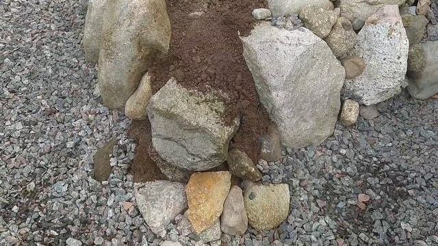 Новая идея для ландшафта моего сада.