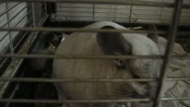 Birth смотреть онлайн