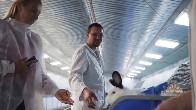 Путешествие на кроличью ферму смотреть онлайн