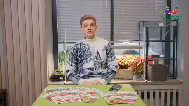 Как избежать ошибок при выращивании рассады | Крепкая рассада это просто! #огород #рассада #семена