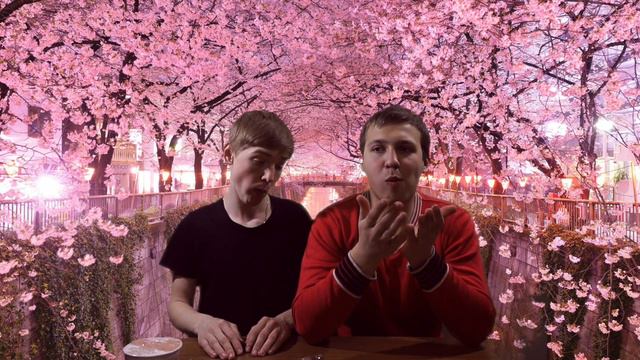 VLOG: Посылка из Японии.