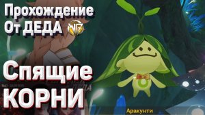 ВАРУНА ГАТА СПЯЩИЕ КОРНИ Полное прохождение Геншин импакт Сумеру