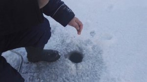 Зимняя рыбалка на Костромском море