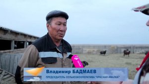 Сгоревшая отара Красной Ималки