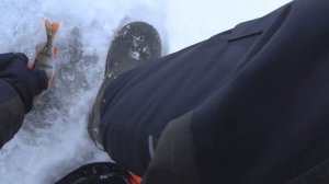 Этот балансир РЕШАЕТ в глухозимье! Окунь на Волге