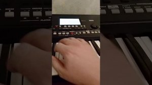 Новый стиль для Корг Pa 300