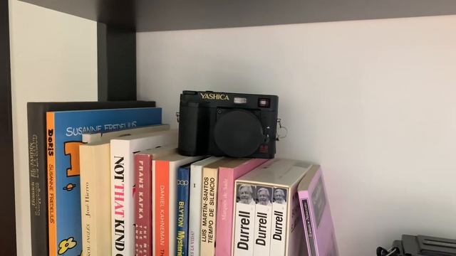 Camera Shelf Walk-through│Favorite cameras!│Digital & Analog Cameras