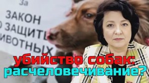РАСЧЕЛОВЕЧИВАНИЕ? ЗАКОН ОБ УБИЙСТВЕ СОБАК | ДЕПУТАТ ГЛАЗКОВА
