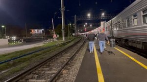 ПОЕЗД МУРМАНСК - АДЛЕР | СТАНЦИЯ ОЛЕНЕГОРСК | ЕДУ В ЛОДЕЙНОЕ ПОЛЕ | РЖД