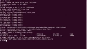 OWASP juice shop on Docker