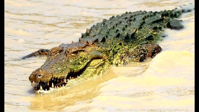 Путь конквистадоров смотреть онлайн