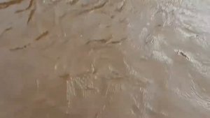 VLOG ● Наши будни купаемся залезли на заброшенный фонтан