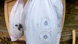 Обзор лука Санлида  Драгон Х8