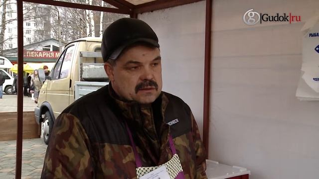 Социальные ярмарки проходят в Подмосковье смотреть онлайн