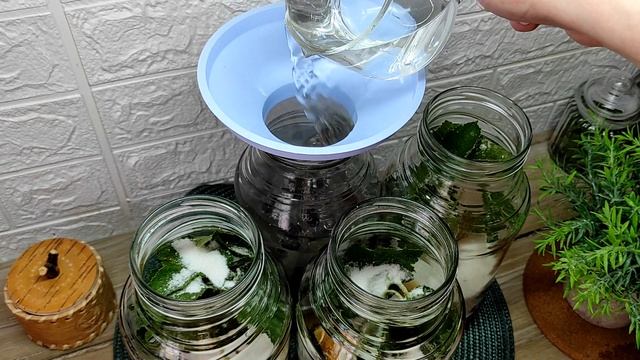 К зиме моя кладовка почти переполнена компотом из черной смородины с апельсином. Попробуйте и вы! смотреть онлайн