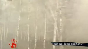 Уголовное дело возбудили после пожара вблизи озера Кызылташ