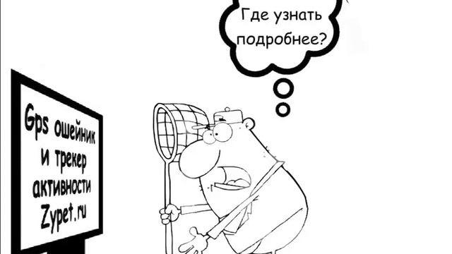 GPS-ошейник и трекер активности Zypet