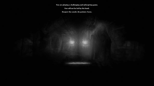 Darkwood: Horror in the Heart of the Woods