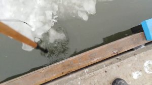 Отряд самоубийц 2. Зимняя рыбалка в Таганроге.