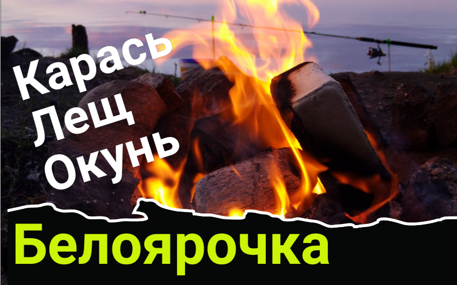 Белоярка, рыбалка на ФИДЕР.