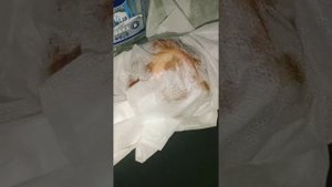 ПОРЧА НА ВРАГА.ЧТОБ ЗАГНУЛСЯ?⚔️♠️⚰️