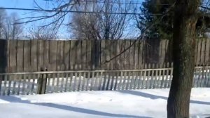 чёрмоз. ул. Пермская