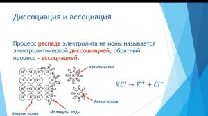 Химия. Объяснение темы "Электролитическая диссоциация"