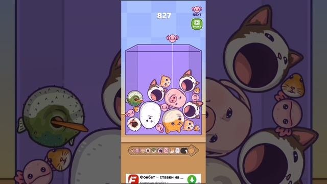??!.?