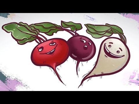 ЧЕМ ПОЛЕЗНА СВЁКЛА?