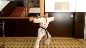 Тамир и школа Киокушинкай 6ч" Ката "или бой с тенью