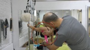 Кинезиотейпирование широчайшей мышцы спины