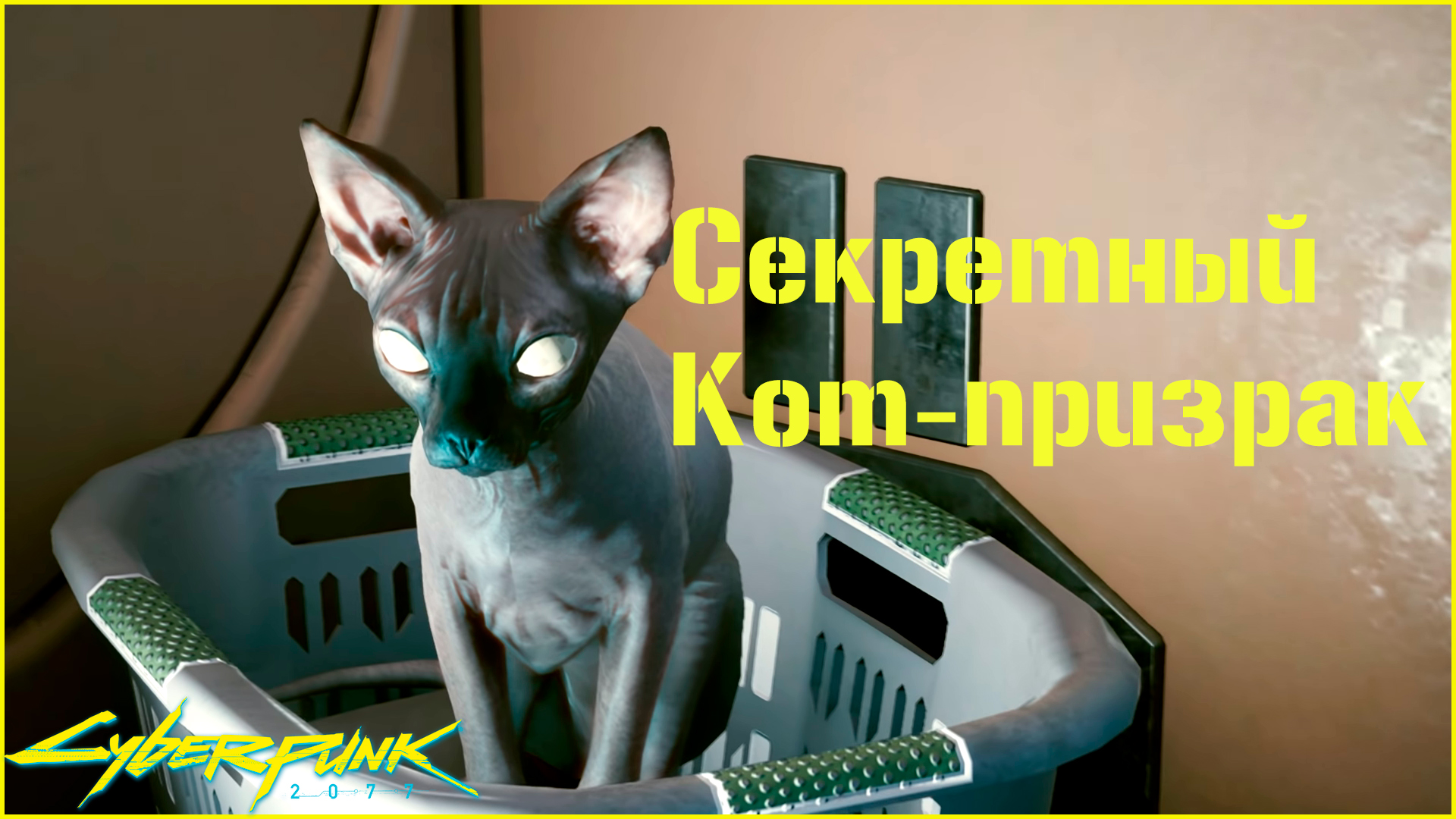 Cyberpunk приручить кота фото 18