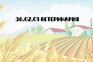 36.02.01 Ветеринария