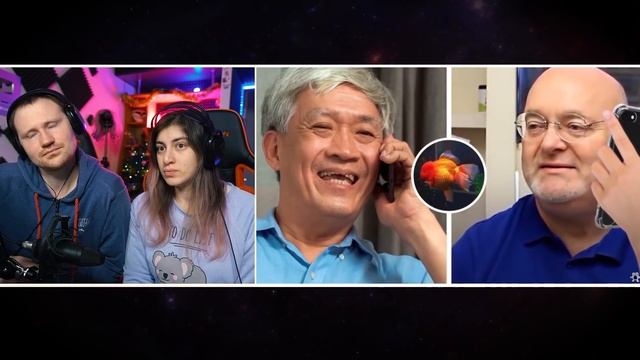 Самые Толстые Животные в Мире | РЕАКЦИЯ на WTFакт смотреть онлайн