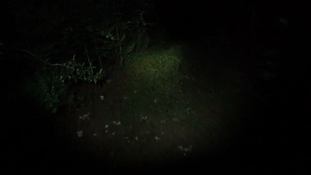 ЛОВЛЯ ЛЕЩА НА ДОНКУ С НОЧЁВКОЙ/НОЧНЫЕ ПЕРЕХОДЫ/FISHING WITH AN OVERNIGHT STAY/