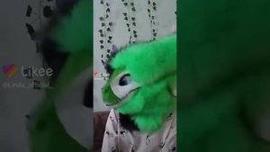Фурри из лайка 🌺 часть 4