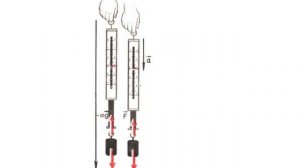 ВЕС ТЕЛА, измерение массы тел взвешиванием. Вес тела, движущегося с ускорением