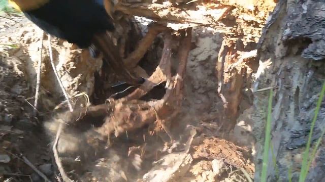 #КЛАД ЗОЛОТЫХ МОНЕТ, УКРАШЕНИЙ, И РЕДКИЙ АРТЕФАКТ ТАМПЛИЕРОВ!!! ВПОИСКАХ КЛАДА И ЗОЛОТА ОТ ВИКЛИНГА смотреть онлайн