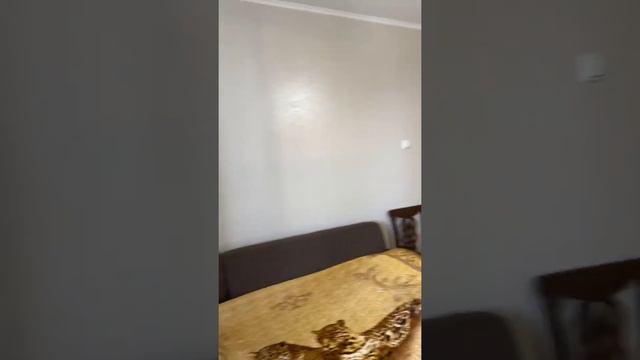 1- КВ Боровское ш 30 смотреть онлайн