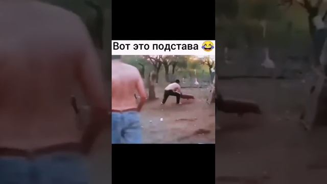 поел мяска