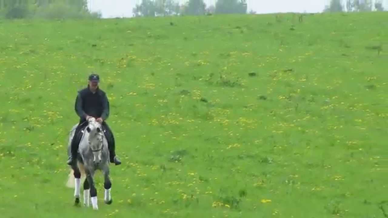 БорисОв Александр Петрович МСМК по троеборью на жер. Сперанский-05 май 2011 года