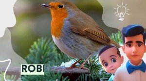Learn Birds & Sounds | Birds For Kids | Bird Species in English #birds #bird @kidcohomeschooling