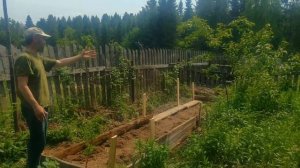 убираем палисадник в палисаднике:)