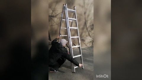 визуальный обзор лестницы краузе