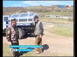 Мальков каспийского лосося выпустили в реки КБР