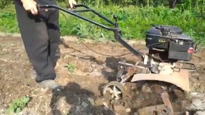 Мотокультиатор Тарпан при небольшой глубине рыхления.