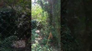 5 и 10 месяцев после замены тазобедренный суставов. Дорога к морю