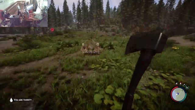 Sons of the forest LAN смотреть онлайн