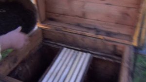 Подсадка роя на "голую" Вощину Пчеловодство +Для Начинающих Ульи +Для Пчел